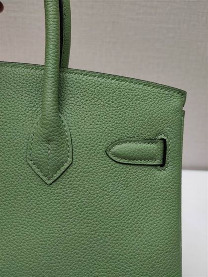 Hermes Birkin Bag - HBP006 - 6