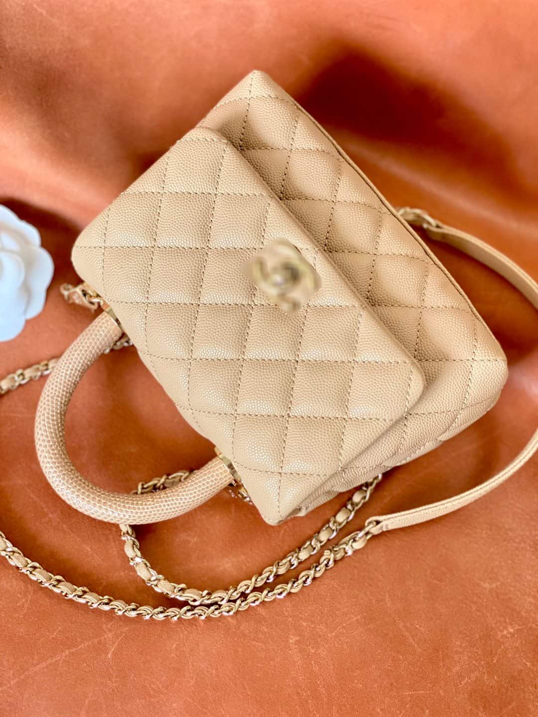 CNL Handle Bag - CHB205 - 3