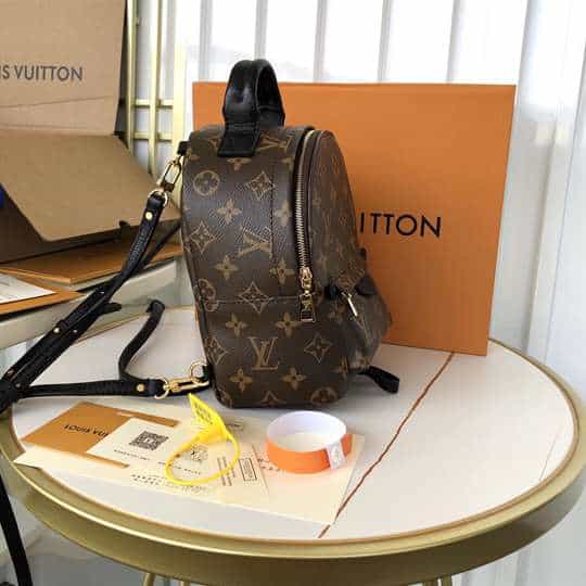 Louis Vuitton Palm Springs Mini - LBP284 - 9