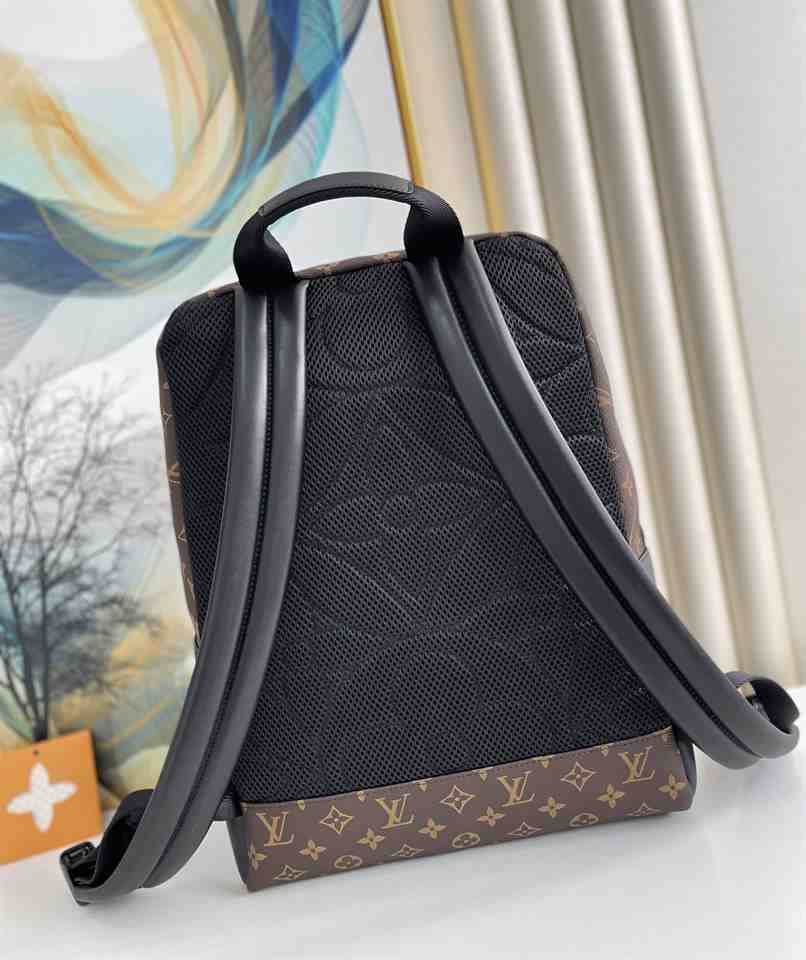LOUIS VUITTON DEAE BACKPACK BAG - LBP438 - 10
