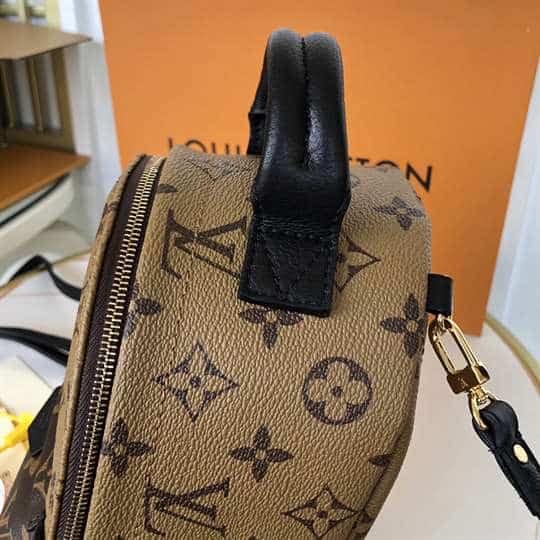 Louis Vuitton Palm Springs Mini - LBP285 - 10