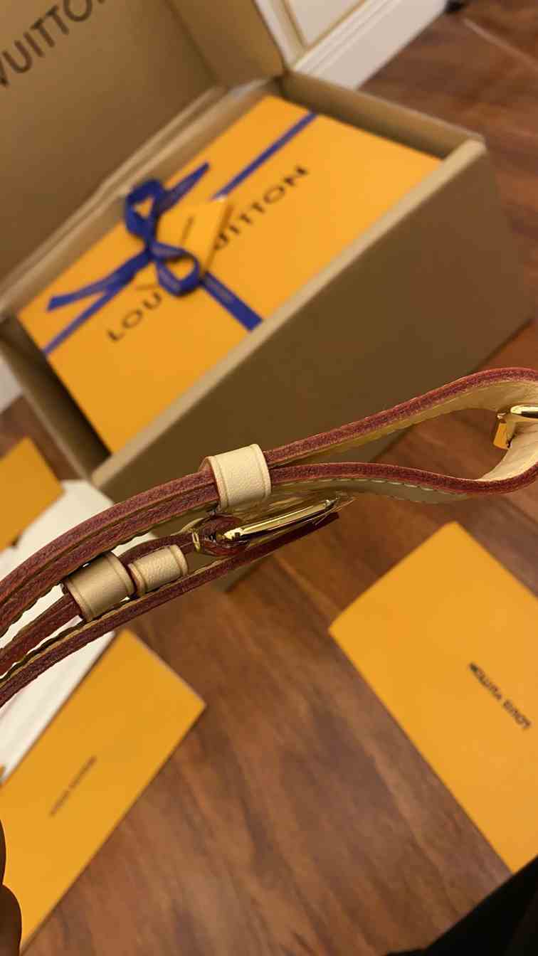 LOUIS VUITTON WAIST BUMBAG - LMB342 - 4