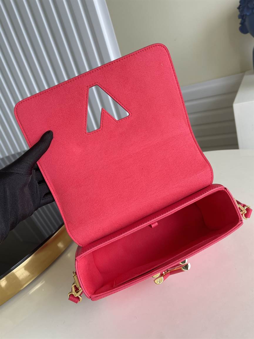 Louis Vuitton Twist PM Other Leathers - LHB504 - 6