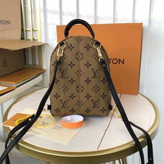 Louis Vuitton Palm Springs Mini - LBP285 - 3