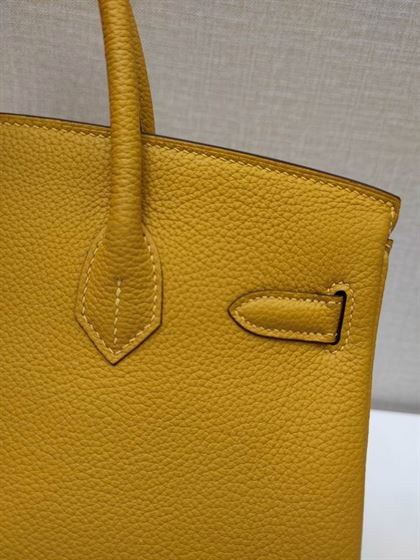 Hermes Birkin Bag - HBP004 - 6