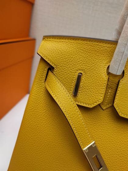 Hermes Birkin Bag - HBP004 - 7