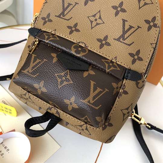 Louis Vuitton Palm Springs Mini - LBP285 - 6