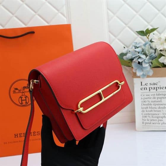 Hermes Roulis Evercolor Bag - HBP087 - 9
