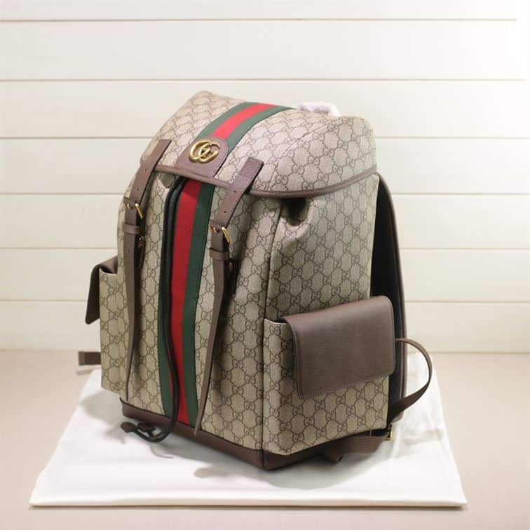 Gucci Ophidia Gg Backpack - GBP107 - 3