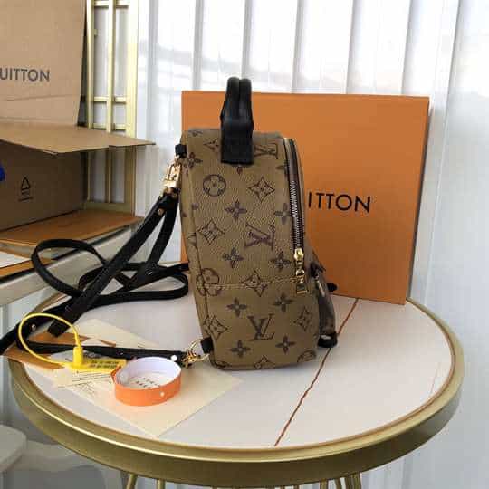 Louis Vuitton Palm Springs Mini - LBP285 - 7