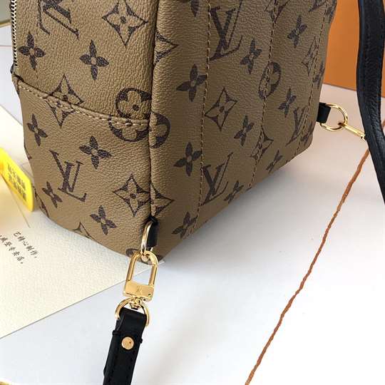 Louis Vuitton Palm Springs Mini - LBP285 - 4