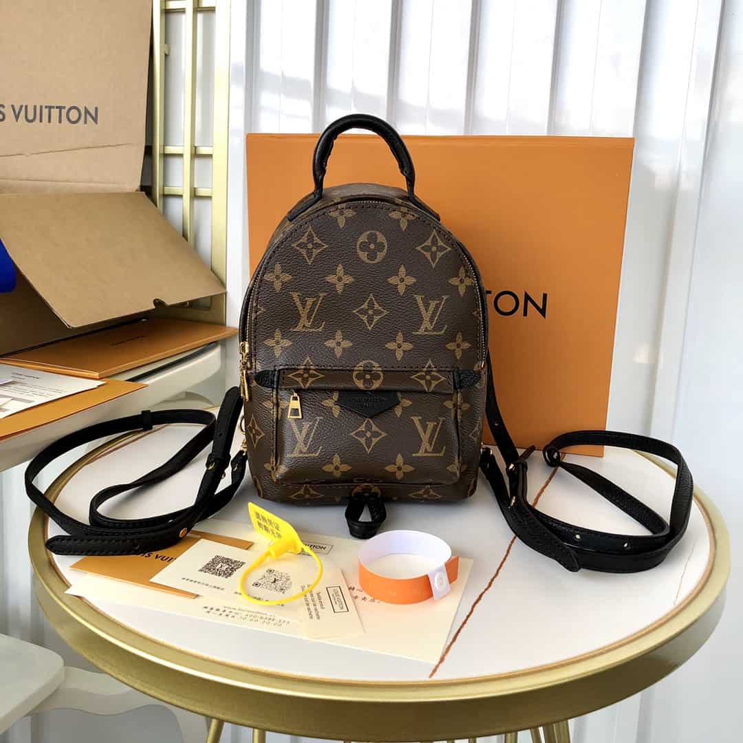 Louis Vuitton Palm Springs Mini - LBP284 - 2