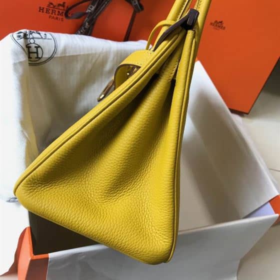 Hermes Birkin Dream Bag - HBP014 - 4