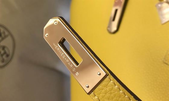 Hermes Birkin Dream Bag - HBP014 - 5