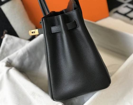 Hermes Birkin Dream Bag - HBP009 - 5