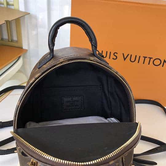 Louis Vuitton Palm Springs Mini - LBP284 - 5