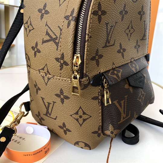 Louis Vuitton Palm Springs Mini - LBP285 - 5