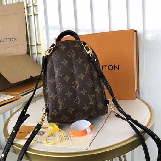 Louis Vuitton Palm Springs Mini - LBP284 - 3