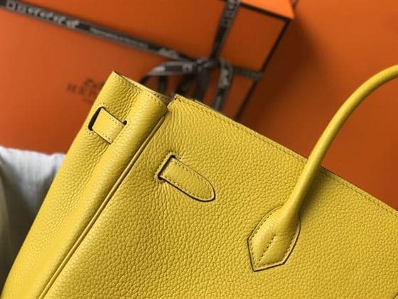 Hermes Birkin Dream Bag - HBP014 - 8