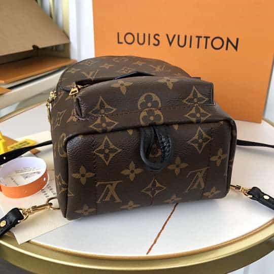 Louis Vuitton Palm Springs Mini - LBP284 - 6