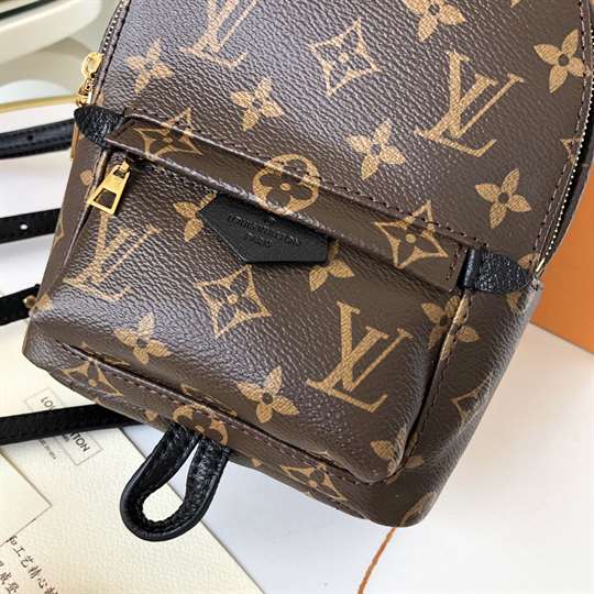 Louis Vuitton Palm Springs Mini - LBP284 - 8