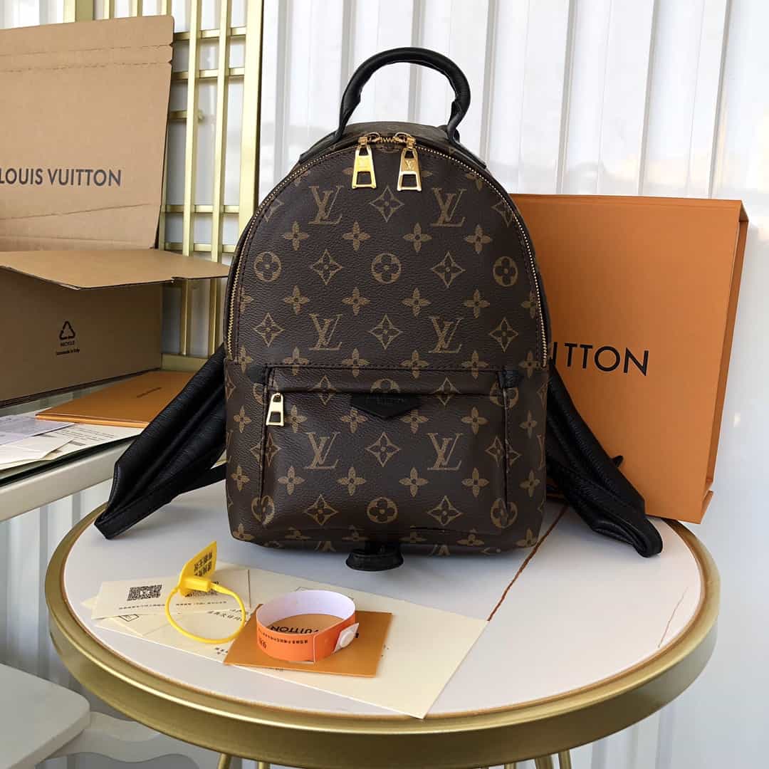 Louis Vuitton Palm Springs PM - LBP283 - 2