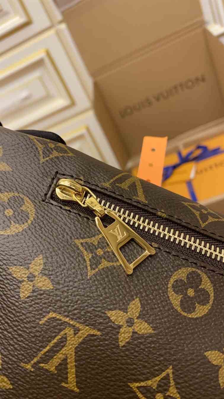 LOUIS VUITTON WAIST BUMBAG - LMB342 - 2