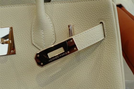 Hermes Birkin Bag - HBP001 - 7