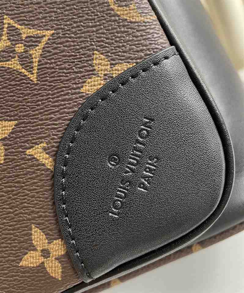 LOUIS VUITTON DEAE BACKPACK BAG - LBP438 - 6