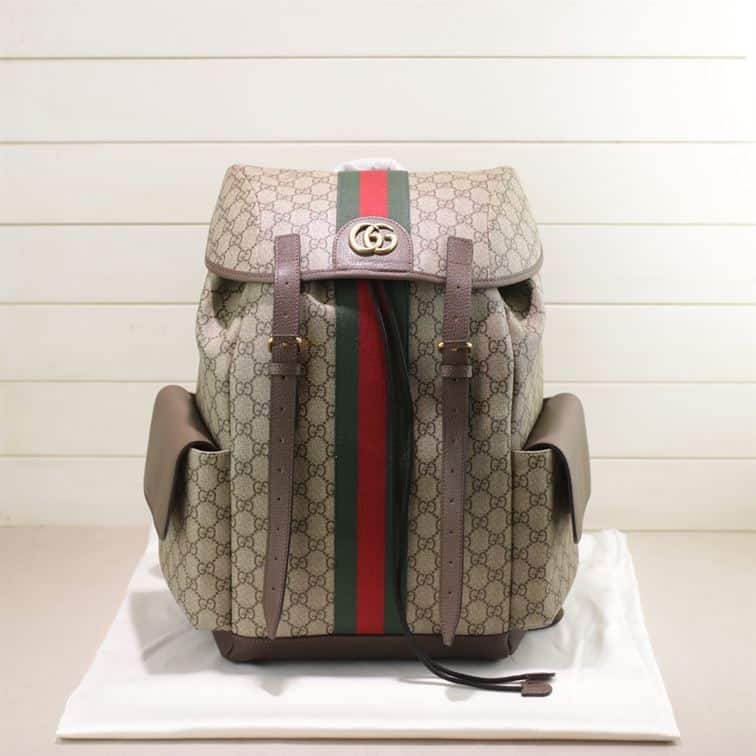 Gucci Ophidia Gg Backpack - GBP107 - 2