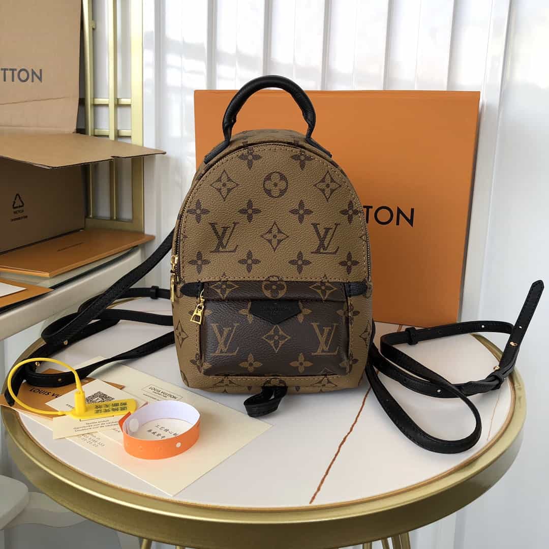 Louis Vuitton Palm Springs Mini - LBP285 - 2