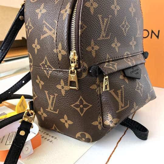 Louis Vuitton Palm Springs Mini - LBP284 - 7