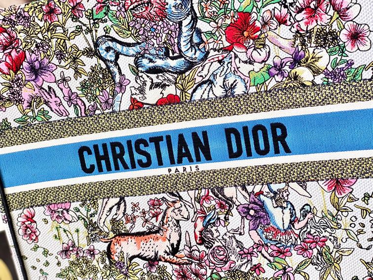 Dior Book Tote Bag - DTB05 - 3
