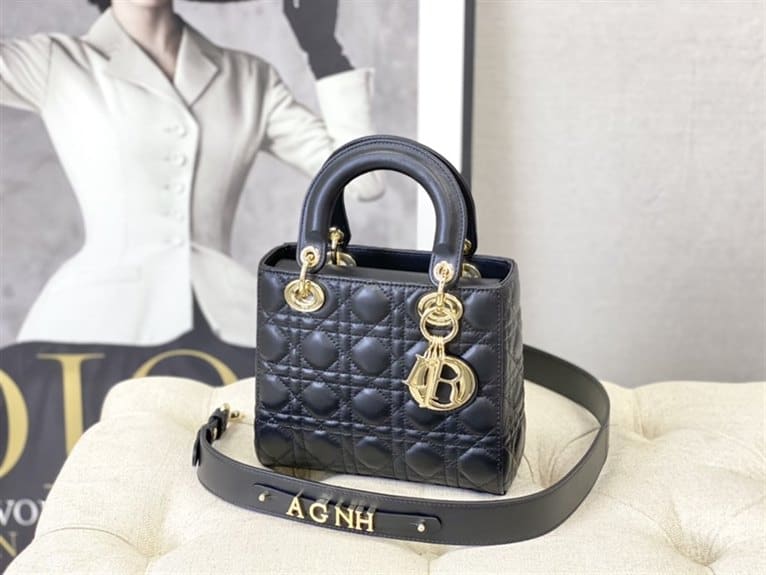 Dior Handbag - DHB20 - 1