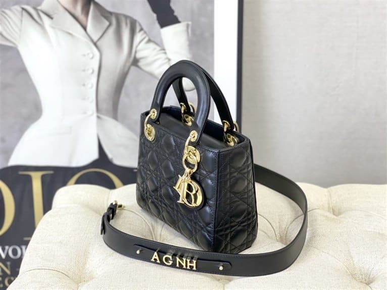 Dior Handbag - DHB20 - 6