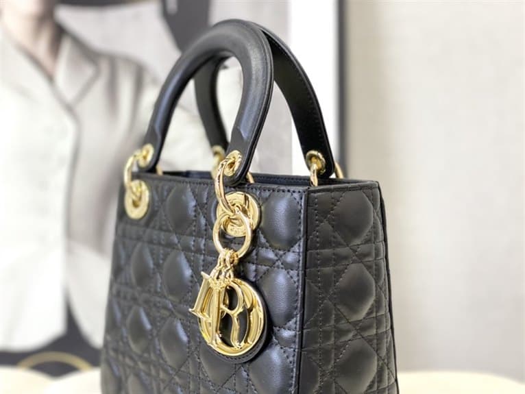 Dior Handbag - DHB20 - 3