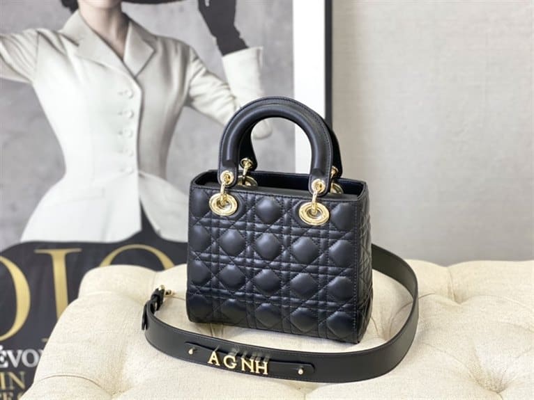 Dior Handbag - DHB20 - 2