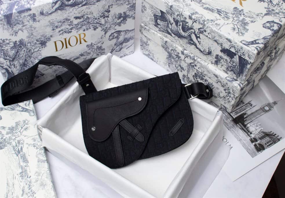 Dior Saddle Pouch - DMB12 - 2