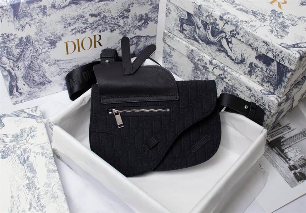 Dior Saddle Pouch - DMB12 - 7