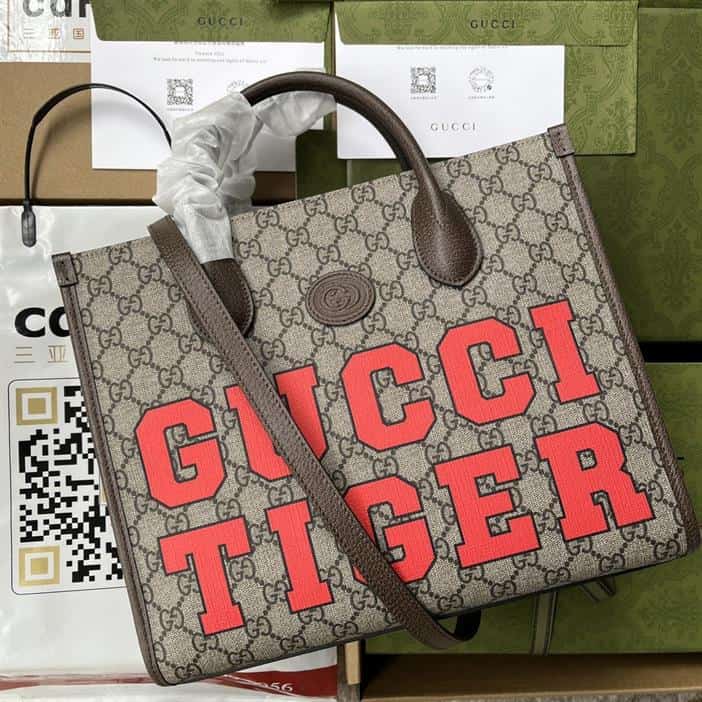 GG Small Tote Bag Brown Red - GTB199 - 1