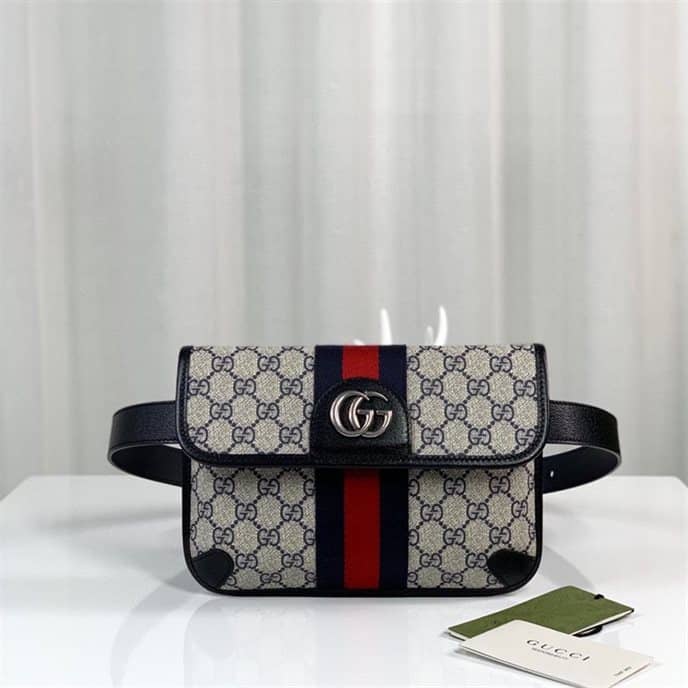 Gucci Ophidia belt bag - GBB063 - 2