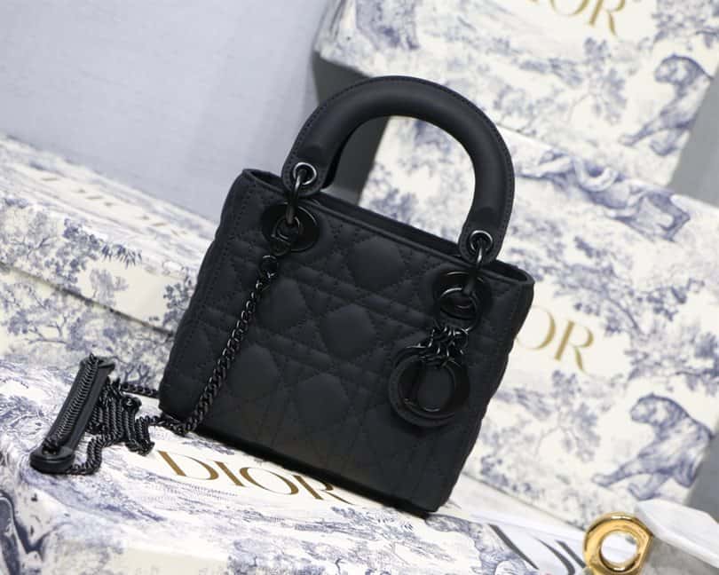 Lady Dior handbag - DHB04 - 1