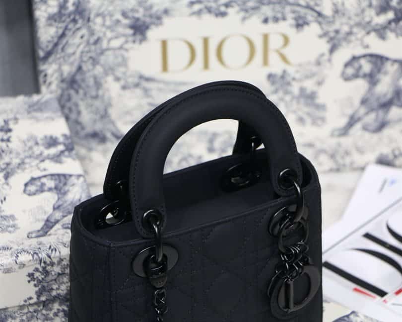 Lady Dior handbag - DHB04 - 3