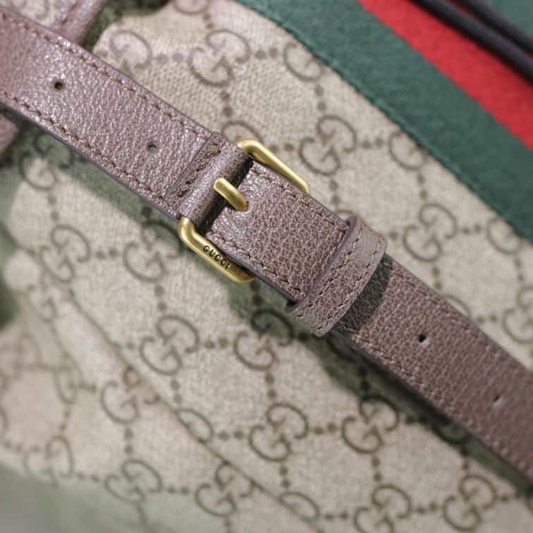 Gucci Ophidia Gg Backpack - GBP107 - 6