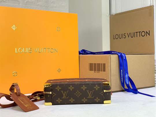 Louis Vuitton Logo Messenger And Shoulder Bag - LMB247 - 6