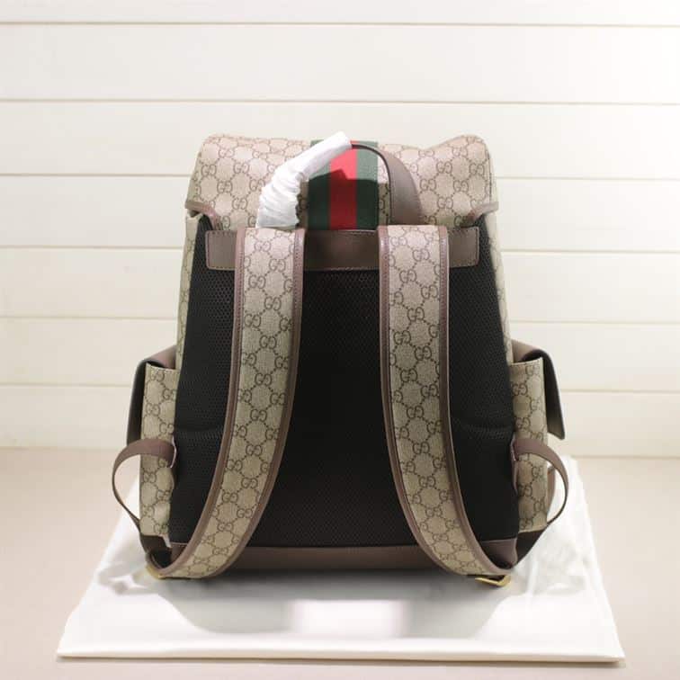 Gucci Ophidia Gg Backpack - GBP107 - 8