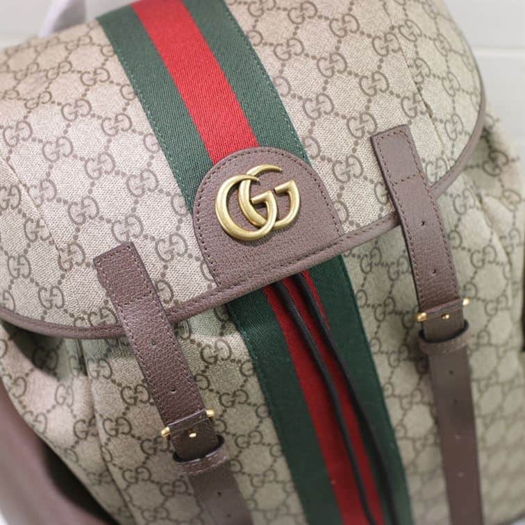Gucci Ophidia Gg Backpack - GBP107 - 9