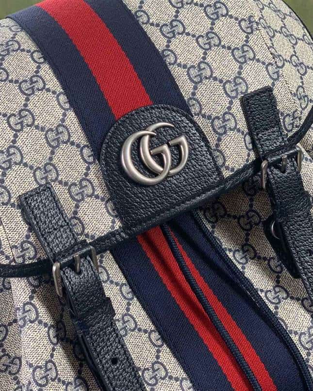 Gucci Ophidia Gg Backpack - GBP109 - 8
