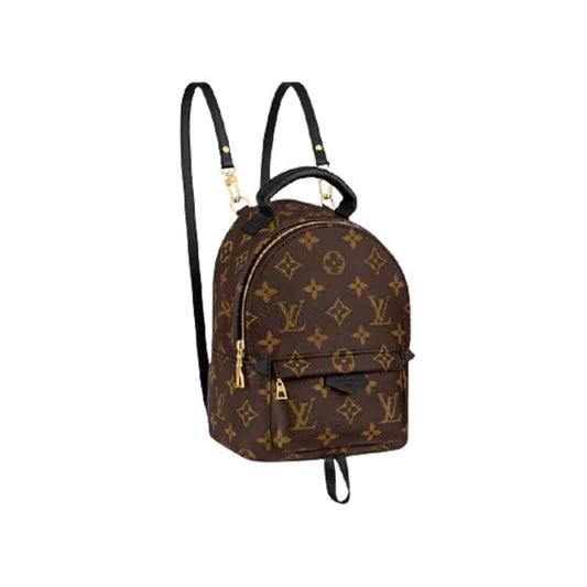 Louis Vuitton Palm Springs Mini - LBP284 - 1