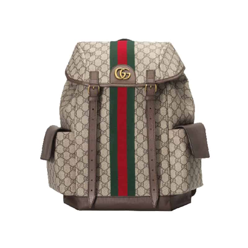 Gucci Ophidia Gg Backpack - GBP107 - 1